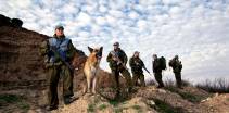 hundetroppen på patrulje i sør libanon 1998 norwegian soldiers from the unifil dog platoon patrolling the countryside with german shepherds south lebanon 1998